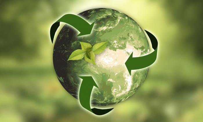 Circulaire economie