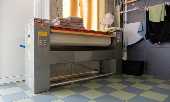 Professionele mangel